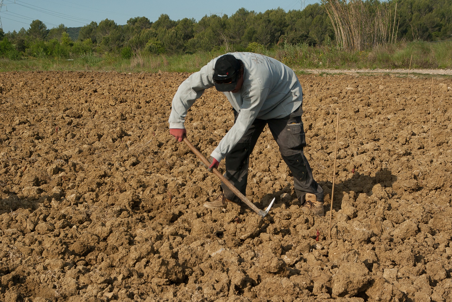 lucrator agricol
