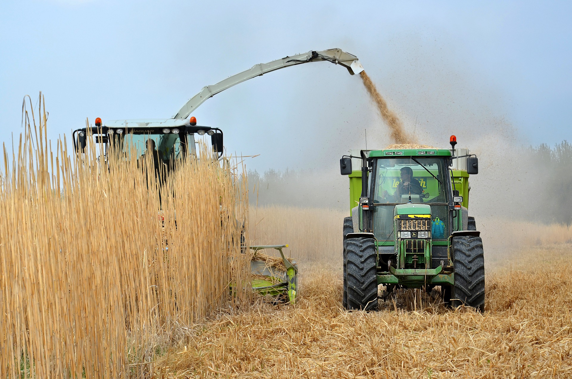 productia agricola
