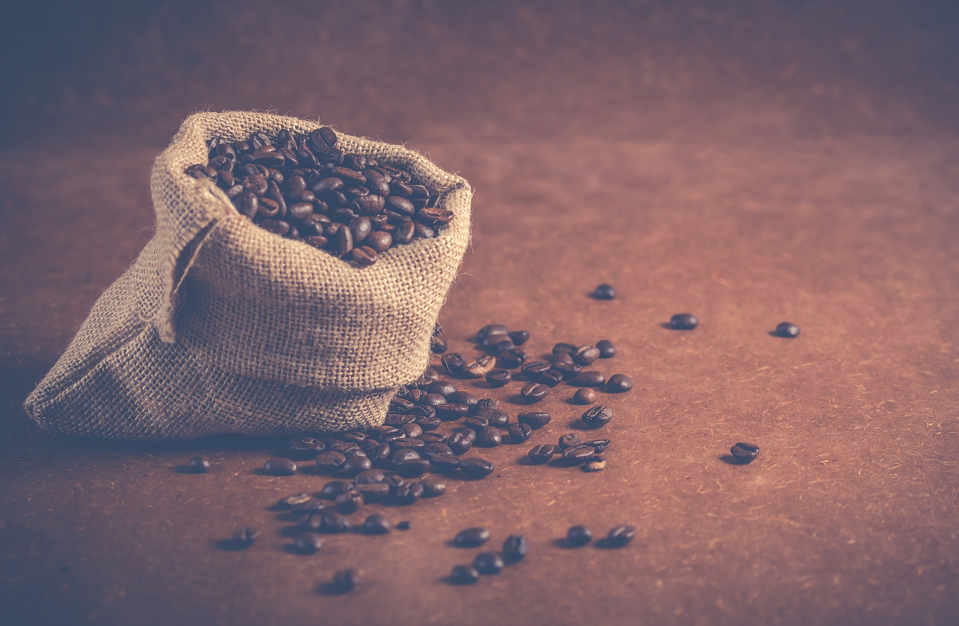 exportatori de cafea