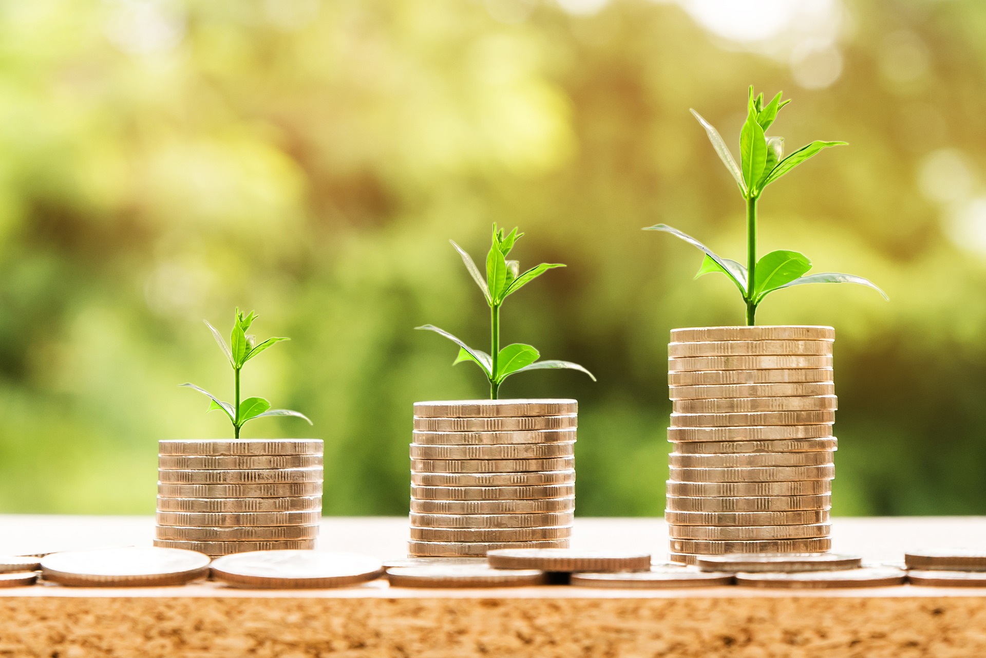 INVESTITIILE AGRICOLE