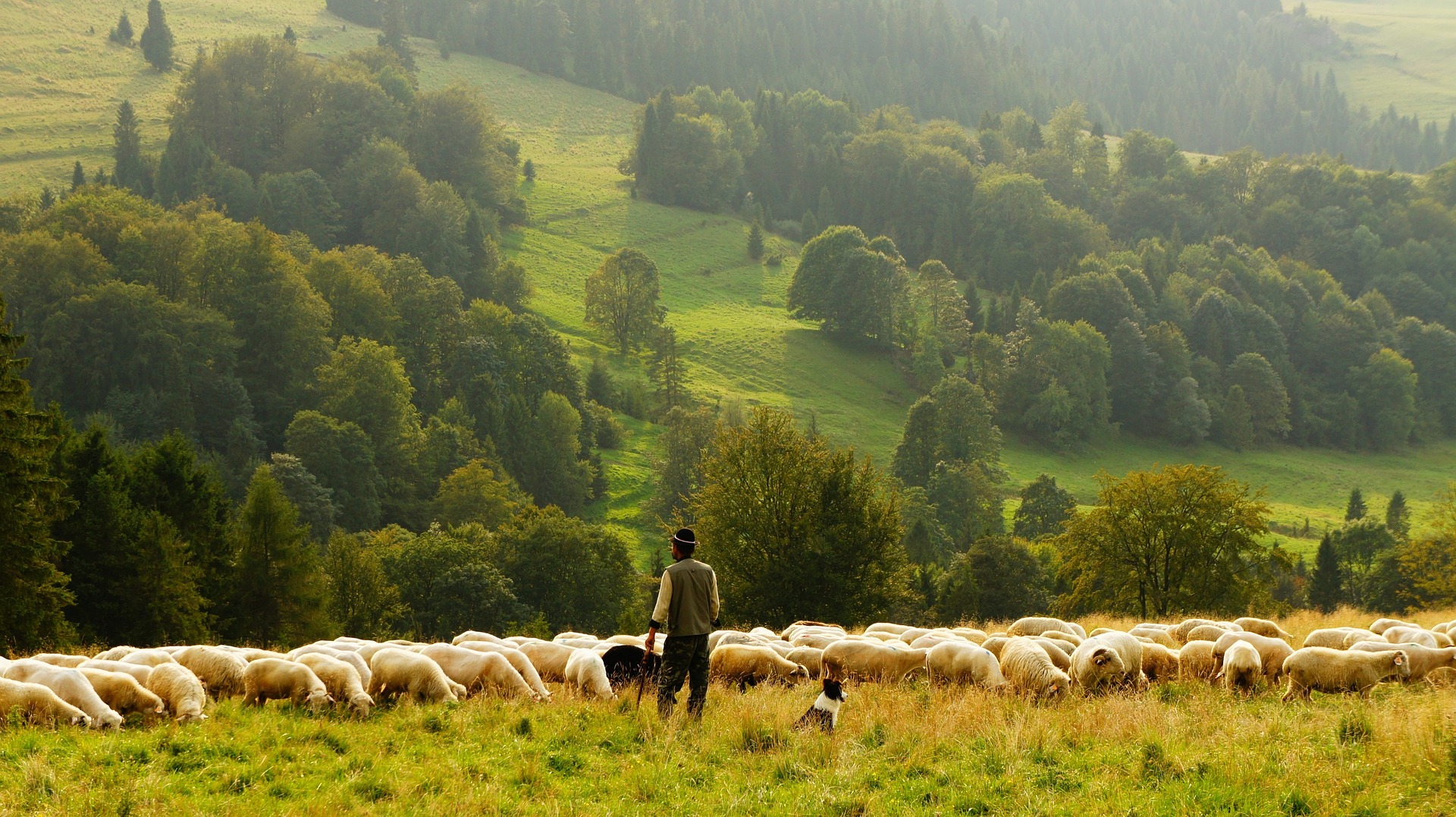 tendinte in agricultura 2021