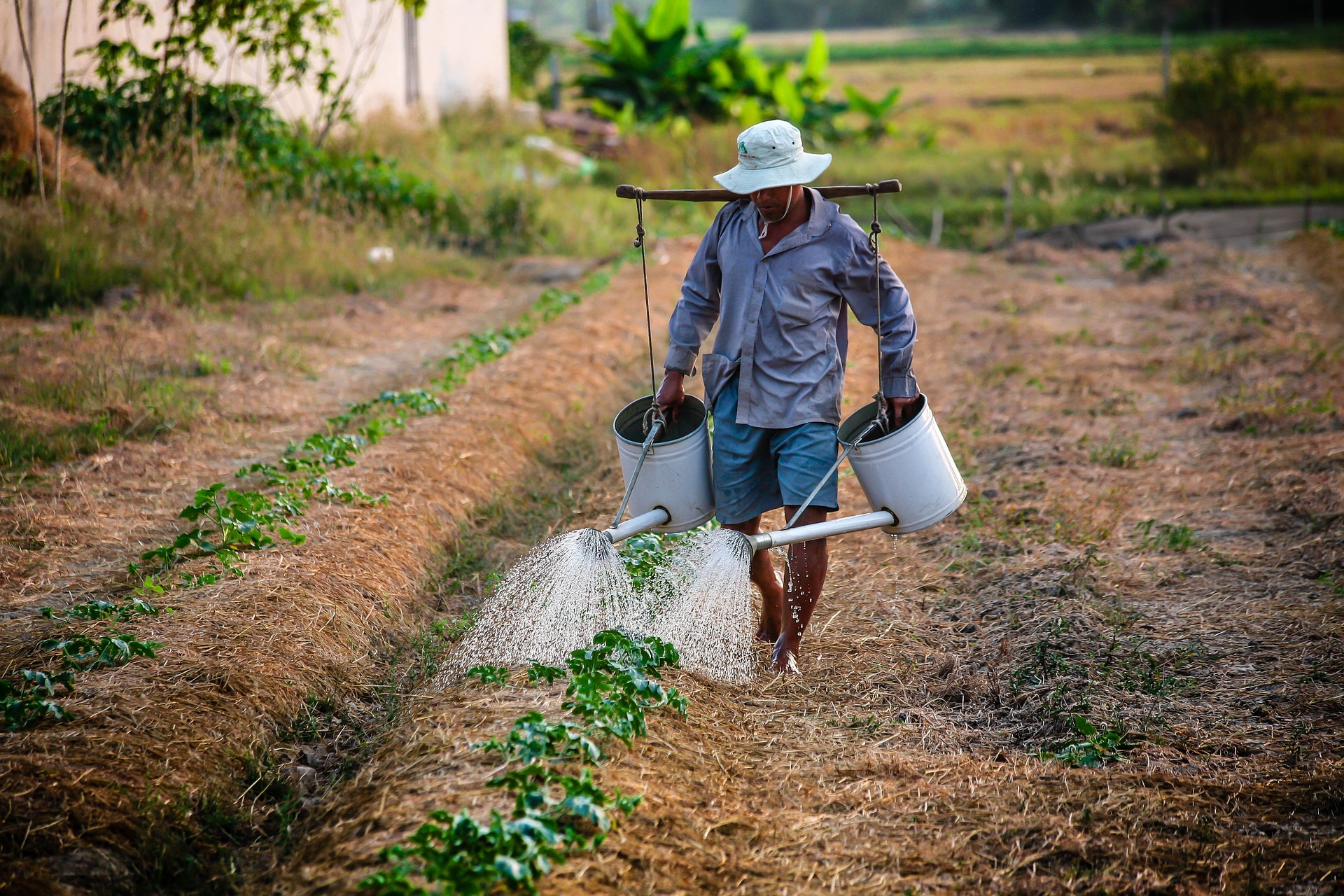 increderea in agricultori